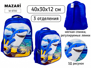 Рюкзак школьный ИТАЛ.МЕМ, 40х30х12см
