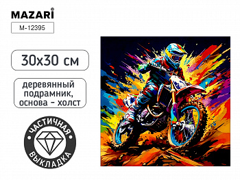 Алмазная мозаика МОТОЦИКЛИСТ, 30X30 см, част. выкл